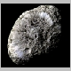 Saturn's moon Hyperion.jpg